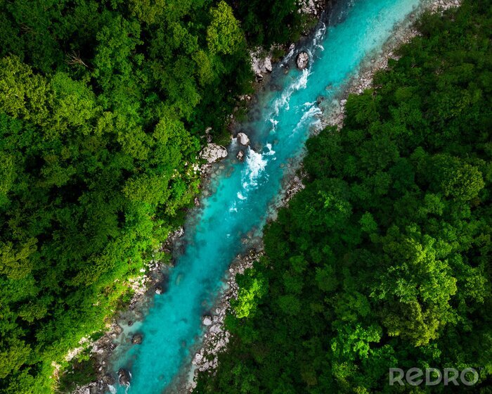 Fototapete Blauer Fluss fließt im Wald