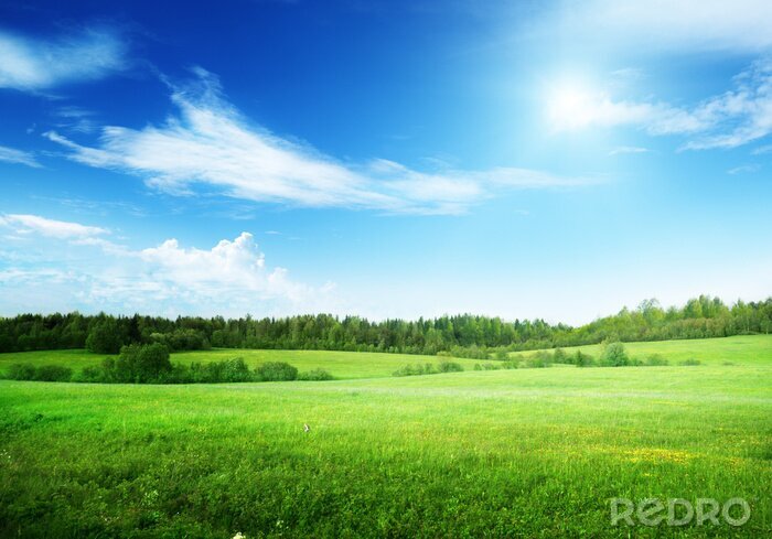 Fototapete Blauer Himmel über dem Gras