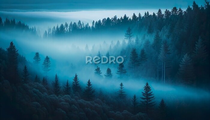 Fototapete Blauer Nebel über dem Wald