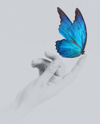 Blauer Schmetterling auf der Hand