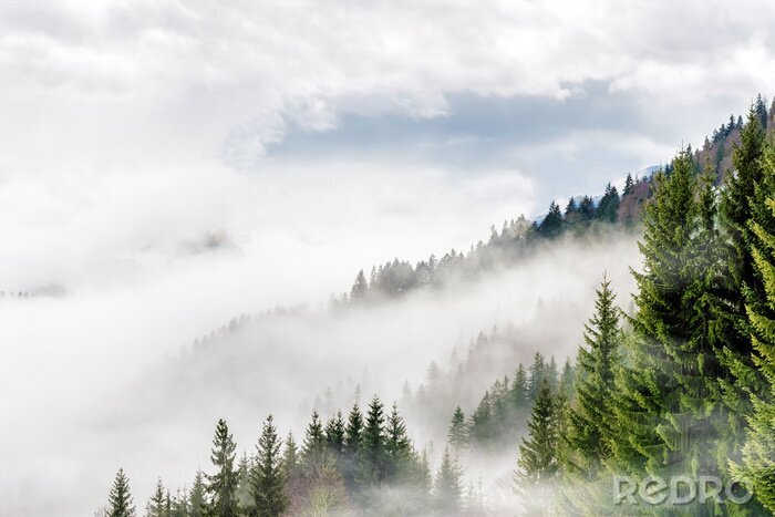 Fototapete Blick auf Berge im Nebel