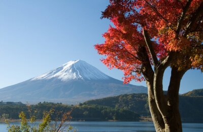 Fototapete Blick auf den Fuji-Berg