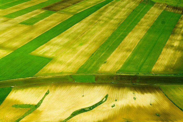 Fototapete Blick auf Felder