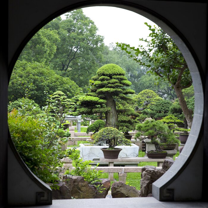Fototapete Blick auf gepflegten Garten