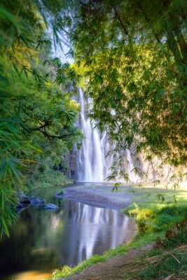 Fototapete Blick auf Grün und Wasserfall