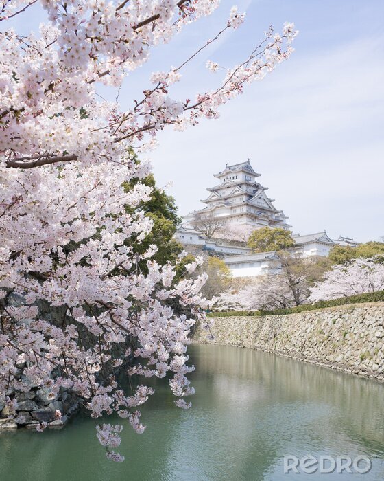 Fototapete Blick auf japanische Burg