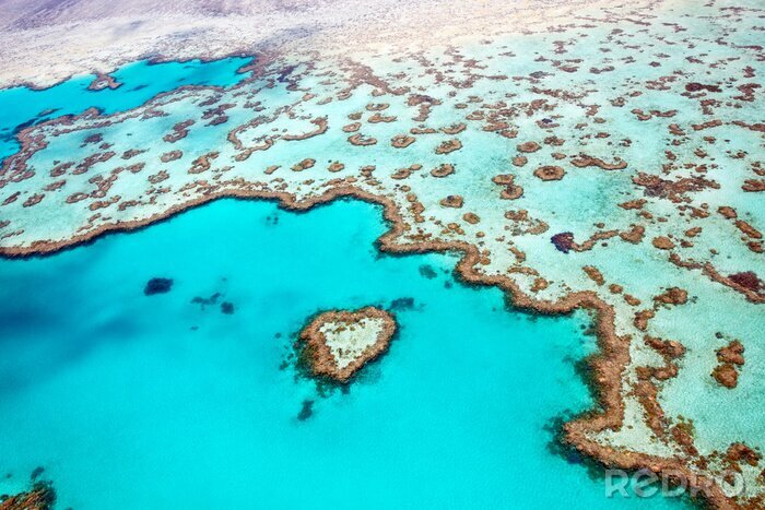 Fototapete Blick auf Korallenriff
