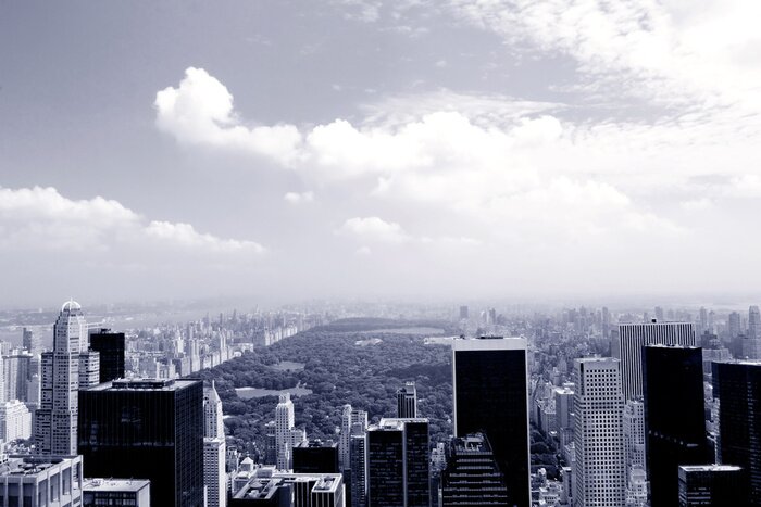 Fototapete Blick auf nebligen Central Park