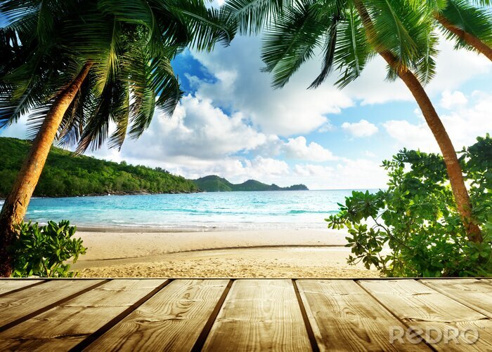 Fototapete Blick auf Palmen und Ozean