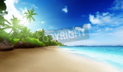 Fototapete Blick auf Tropen und Strand