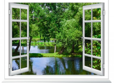 Fototapete Blick aus dem Fenster in den Gewässer und den Baum im Sommer