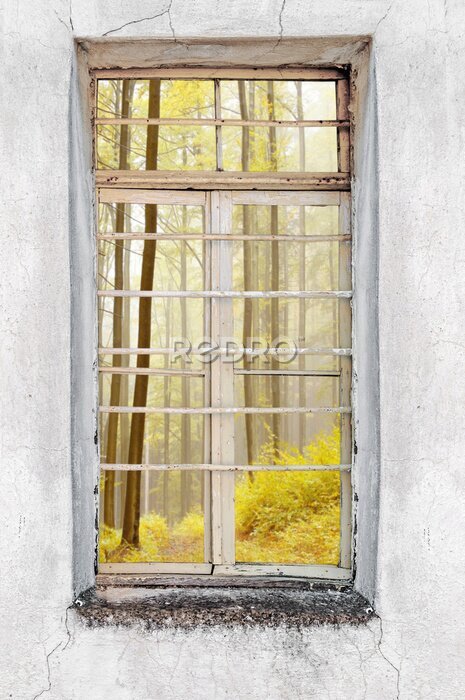 Fototapete Blick durch ein Fenster auf einen Wald