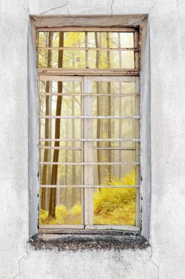 Fototapete Blick durch ein Fenster auf einen Wald
