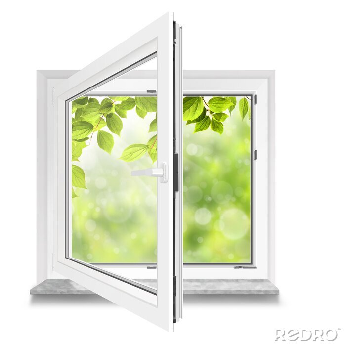 Fototapete Blick durch ein weißes Fenster auf Blätter