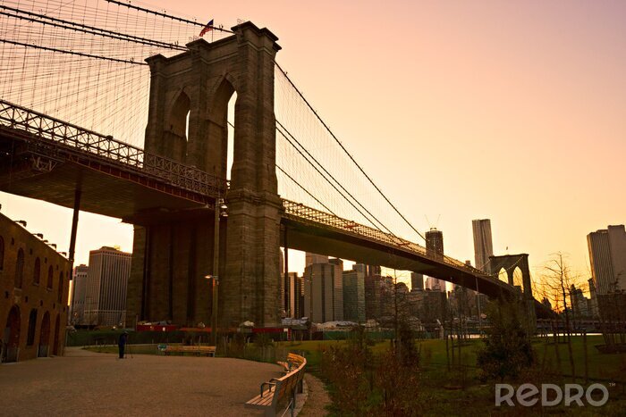 Fototapete Blick vom Park auf Brooklyn Bridge