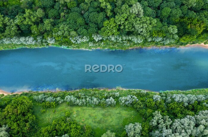 Fototapete Blick von oben auf den Fluss mitten in einem grünen Wald