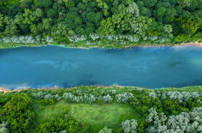 Fototapete Blick von oben auf den Fluss mitten in einem grünen Wald