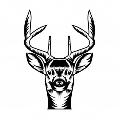 Fototapete B?lle auf dem Platz