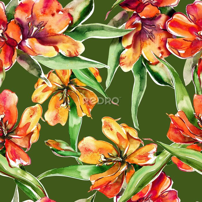 Fototapete Blühende Tulpen auf grünem Hintergrund