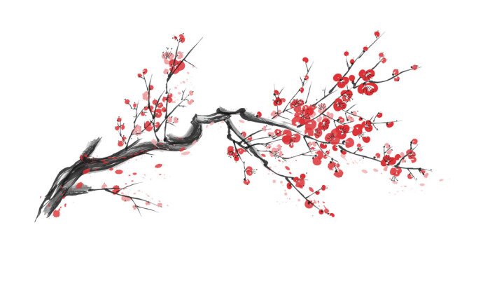 Fototapete Blühender Kirschzweig