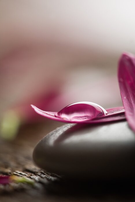 Fototapete Blütenblätter