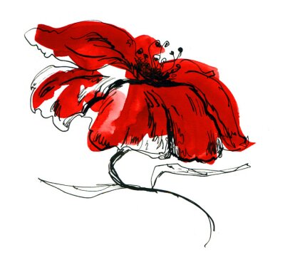 Blume auf einer farbigen Zeichnung