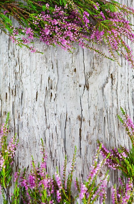 Fototapete Blumen bei hellem Holz