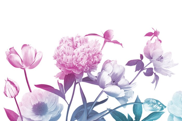 Fototapete Blumen blühen im Sommer