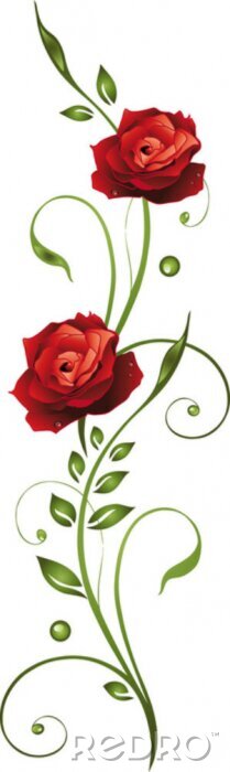 Fototapete Blumen, Blüten, Rose, rote Rosen, filigran, floral