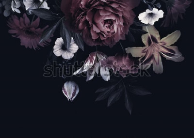 Fototapete Blumen dunkel