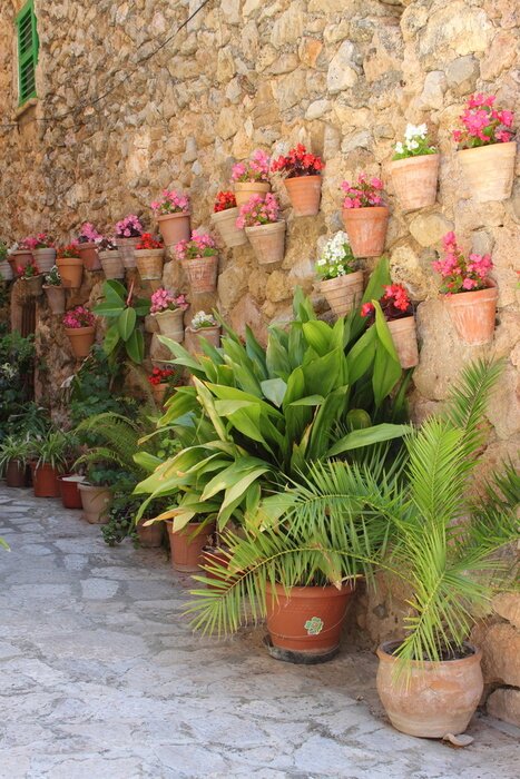 Fototapete Blumen und Pflanzen bei Mauern