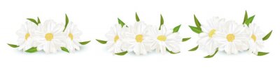 Fototapete Blumenarrangement aus weißen Gänseblümchen
