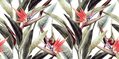 Blumenmuster mit tropischen Blättern und Strelitzienblüten auf weißem Hintergrund