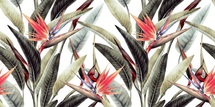 Fototapete Blumenmuster mit tropischen Blättern und Strelitzienblüten auf weißem Hintergrund