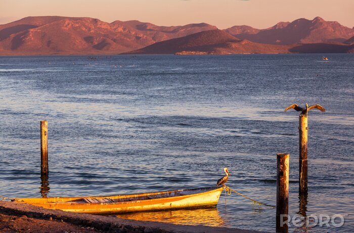 Fototapete Boot auf Wasser bei Sonnenuntergang