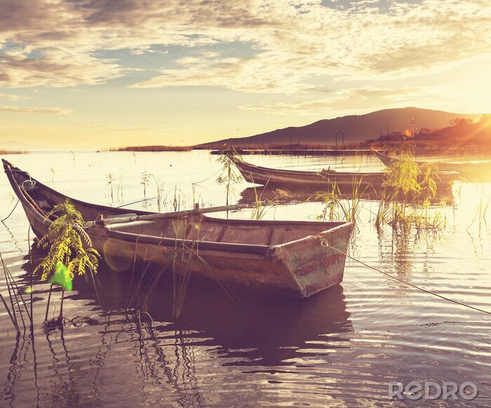 Fototapete Boote inmitten von Gräsern
