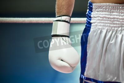 Fototapete Boxer kampfbereit