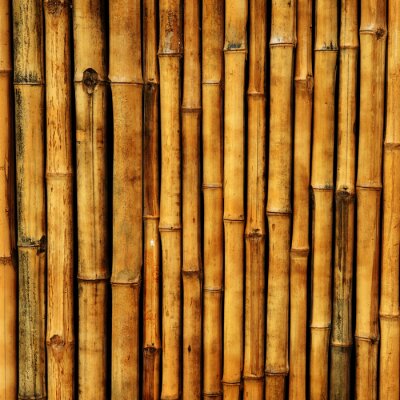 Fototapete Braune Bambusstengel