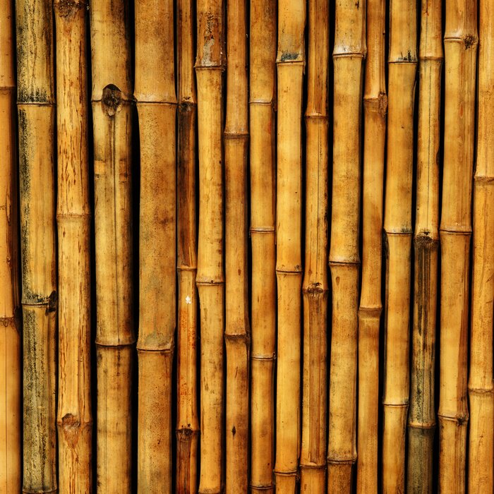 Fototapete Braune Bambusstengel