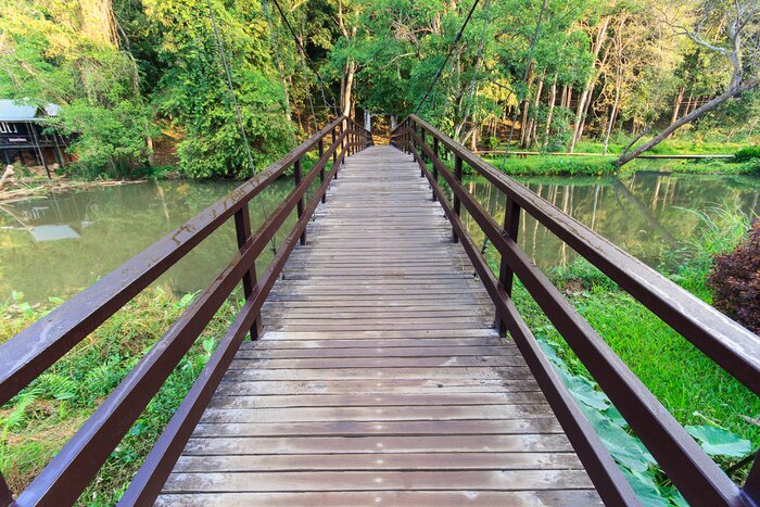 Fototapete Brücke 3d in Waldlandschaft