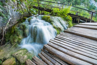 Fototapete Brücke am Waldwasserfall