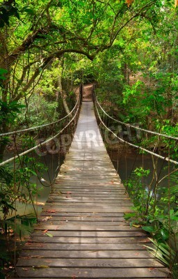 Fototapete Brücke im Dschungel an einem sonnigen Tag