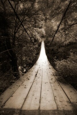 Fototapete Brücke im dunklen Wald