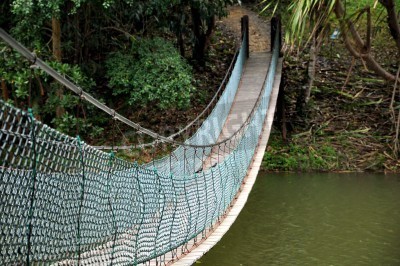Fototapete Brücke im malaiischen Wald
