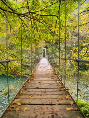 Fototapete Brücke im Nationalpark im Herbst