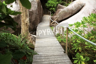 Fototapete Brücke im Regenwald