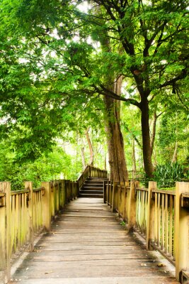 Fototapete Brücke im thailändischem Wald