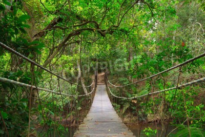 Fototapete Brücke im tropischen Wald