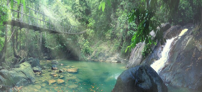 Fototapete Brücke im Wald überm Teich
