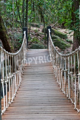 Fototapete Brücke inmitten vom Gebüsch
